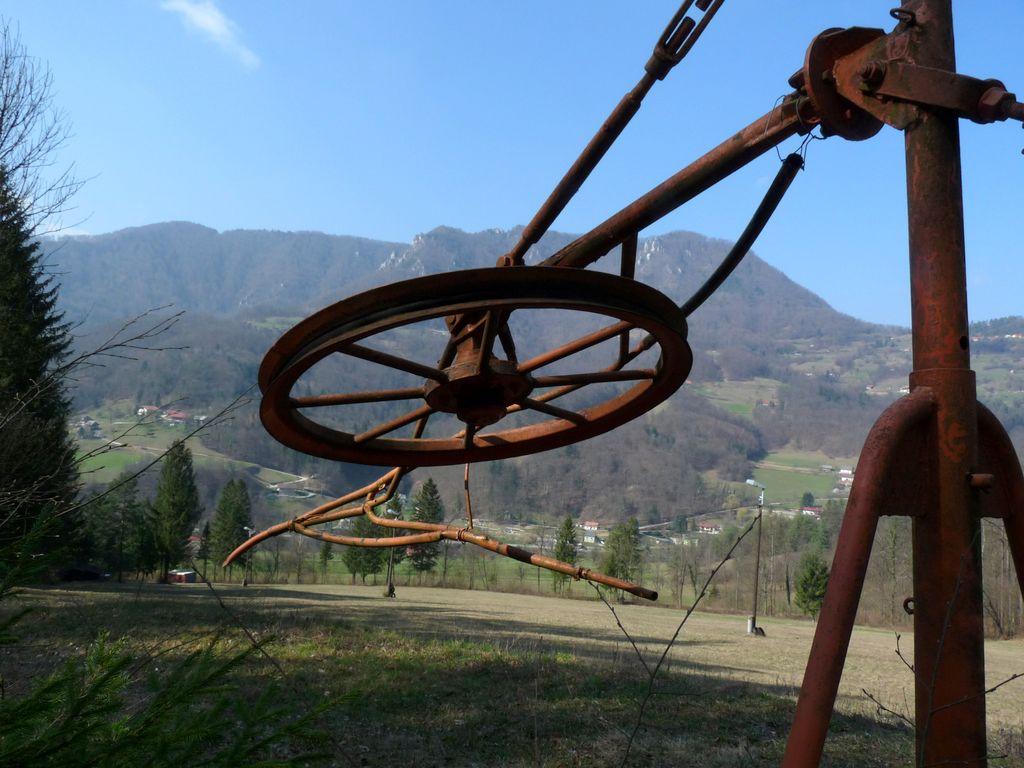 Kopitnik