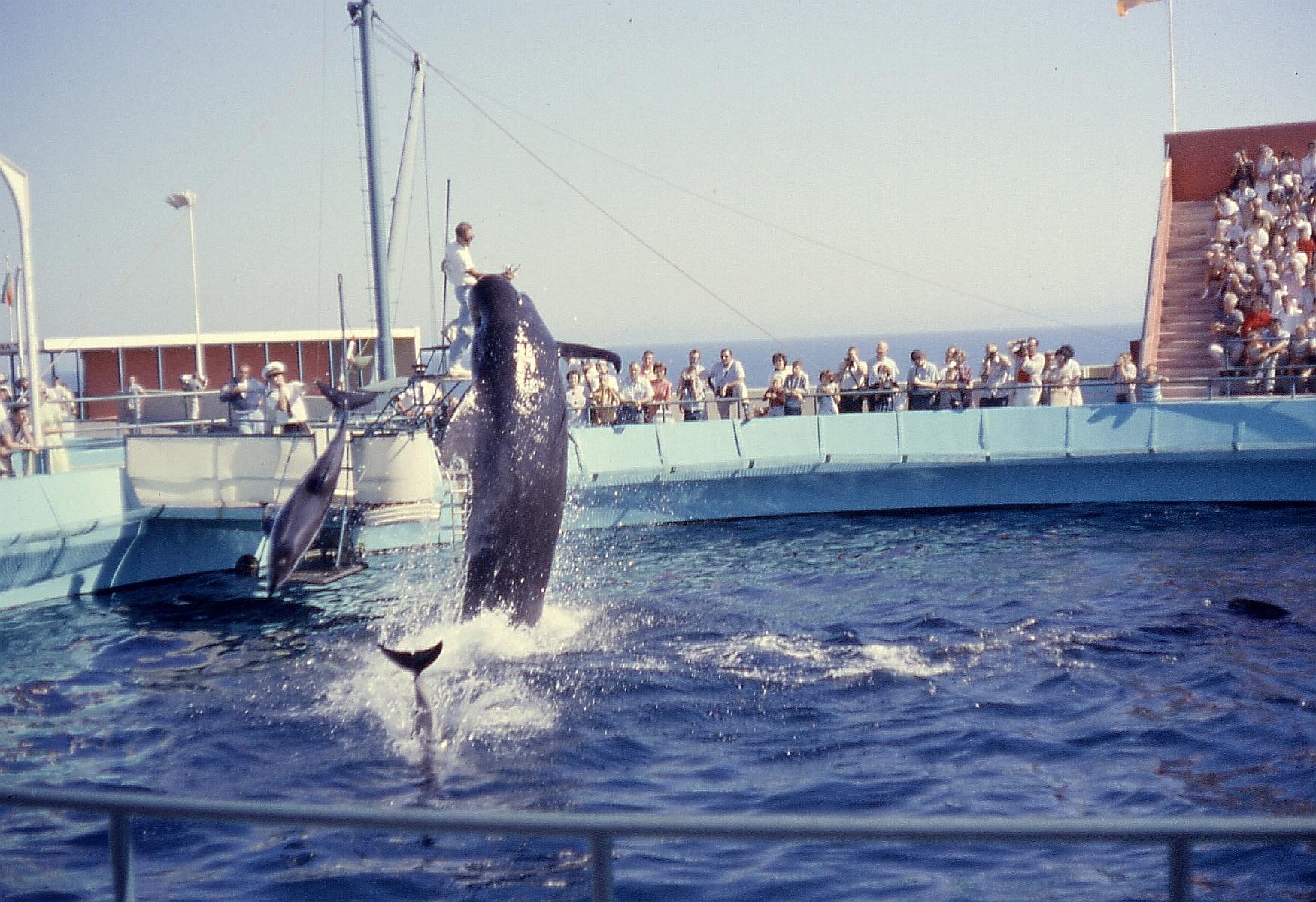 Marineland Of The Pacific