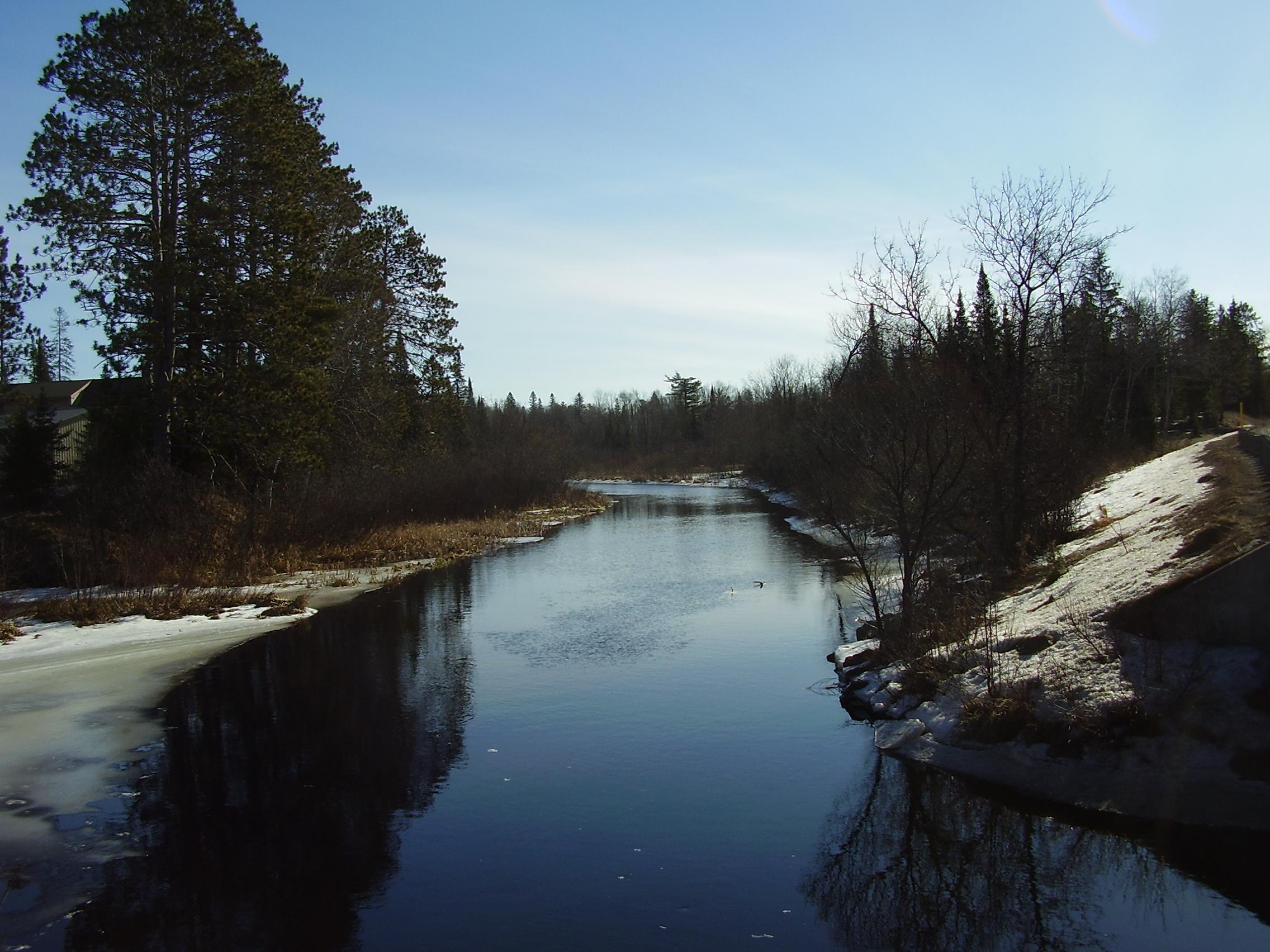 Turtle River