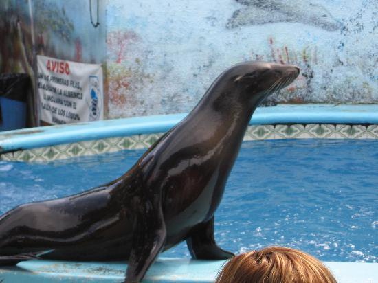 Mazatlan Aquarium