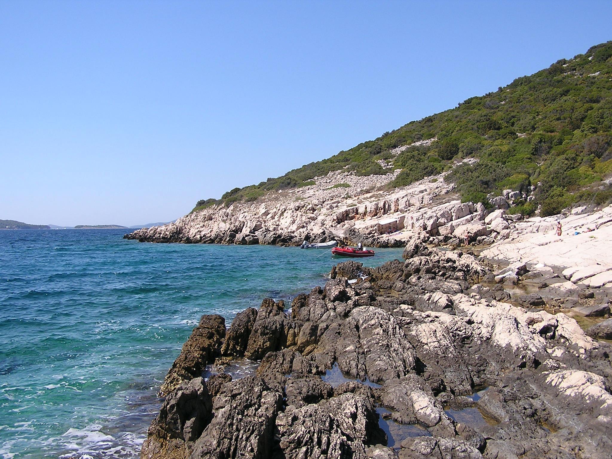 Arta Velika