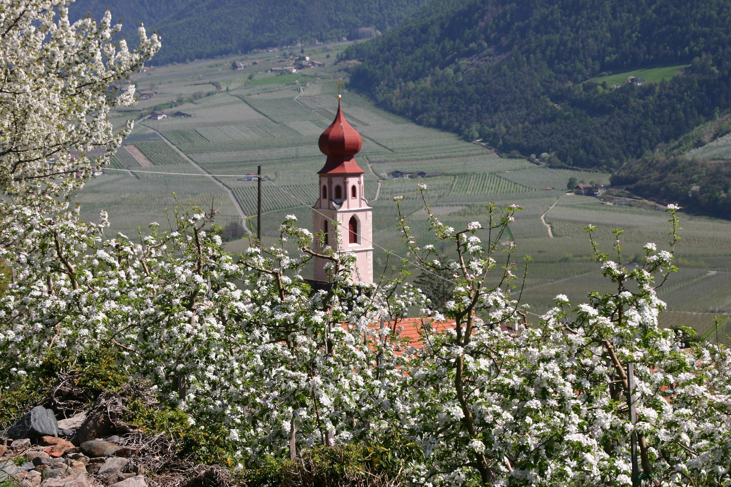 Sankt Martin