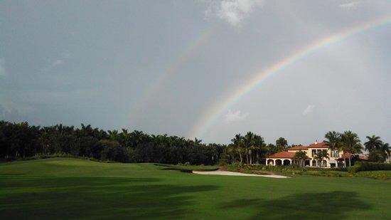 Tiburon Golf Club