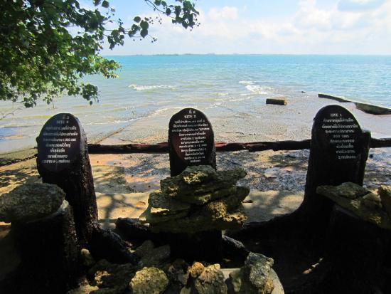 Muschelfriedhof