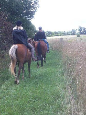 Bay Ranch Lodge and Equestrian Centre