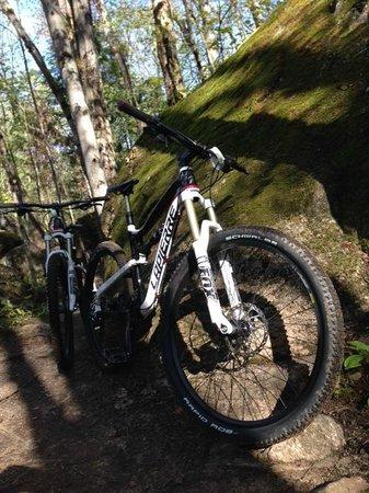Buckwallow Biking Trails
