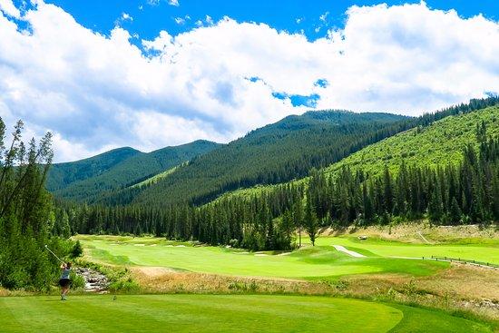 Pole golfowe Greywolf