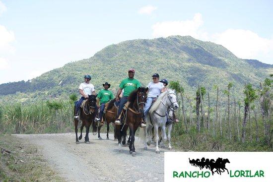 Rancho Lorilar