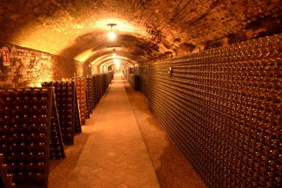 Cantina Contratto