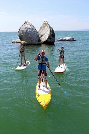 Abel Tasman Paddleboarding