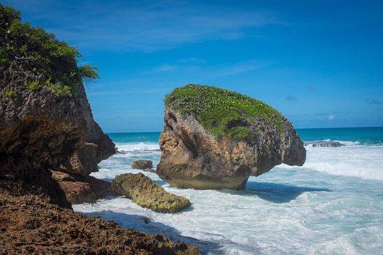 Cueva Survival Beach