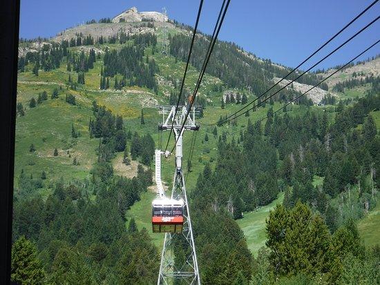 Jackson Hole Aerial Tram and Gondola Rides
