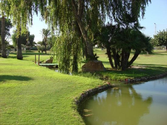 Club de Golf Torre Pacheco