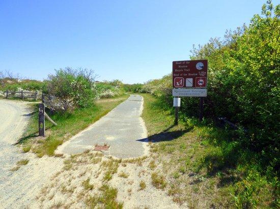 Head of the Meadow Trail