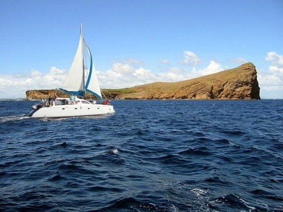 Bon Voyage Mauritius