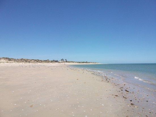 Town Beach