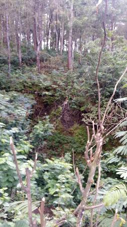 Mount Batur Sunset Trekking