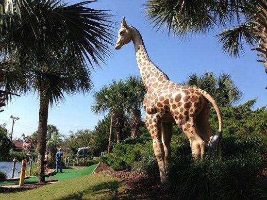 Jungle Safari Mini Golf