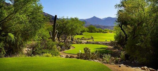 Ventana Canyon