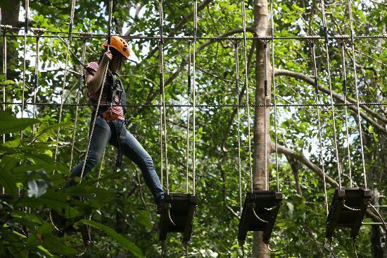 Flying Squirrels Zip Line Chiang Mai