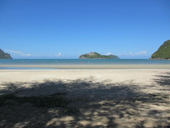 Ao Manao
