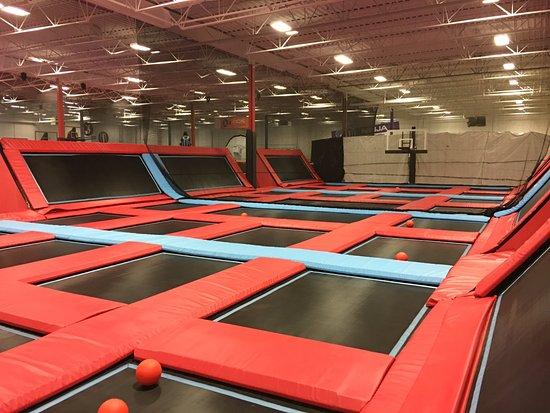Apex Adventure Plex