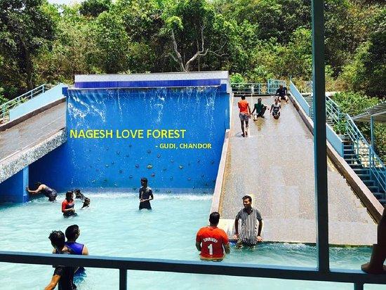 Nagesh Love Forest