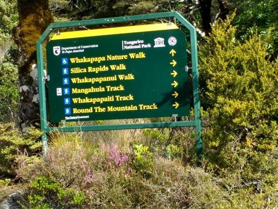 Whakapapa Nature Walk