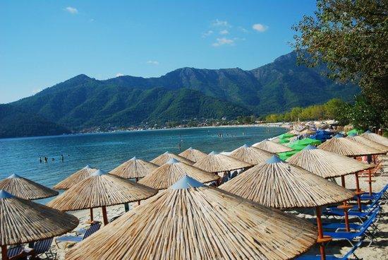 Golden beach