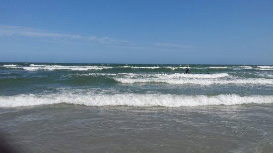 Wildwood Dog Beach