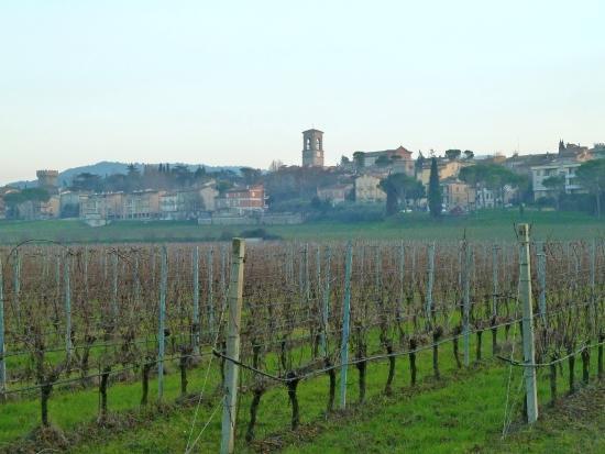 Cantine Giorgio Lungarotti