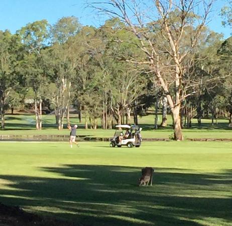 Riverside Oaks Golf Resort