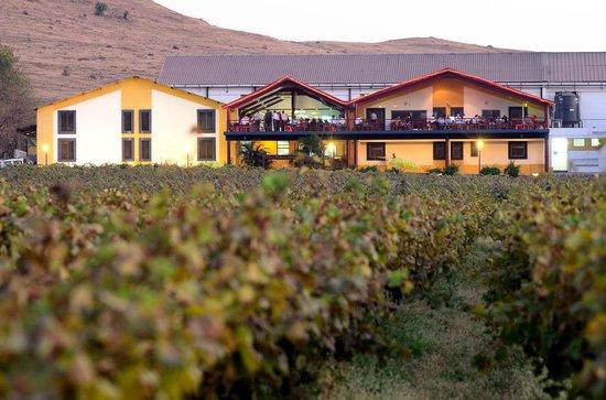 Sula Vineyards