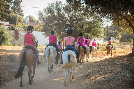 Albufeira Riding Centre
