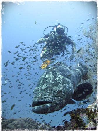 Discovery Dive Centre