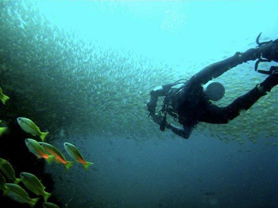 Haad Yao Divers