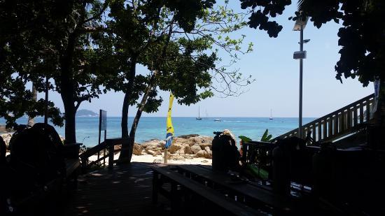 Pro Diver's World