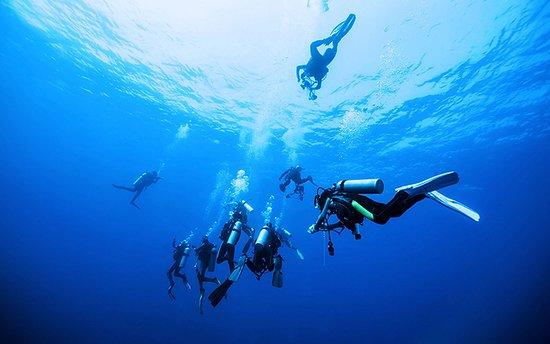 Diving Scuba Libre
