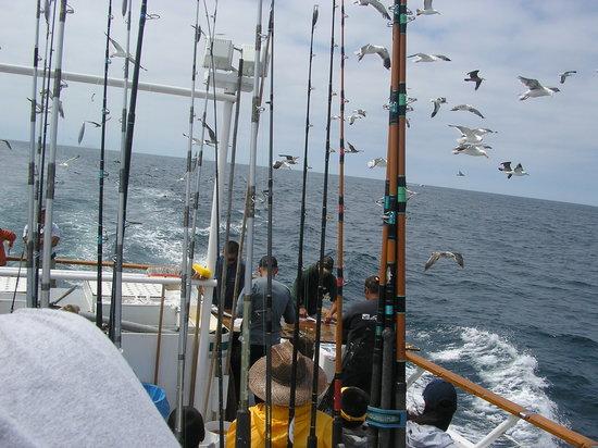 Seaforth Sportfishing