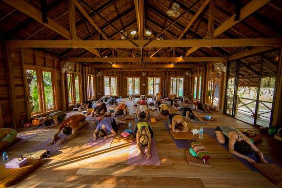 Island Yoga