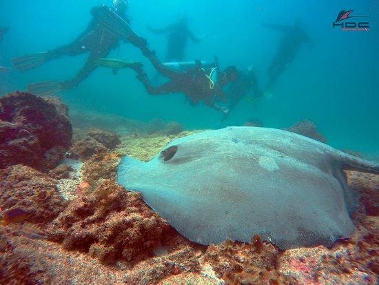 Huatulco Dive Center