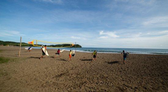 Surf Dojo