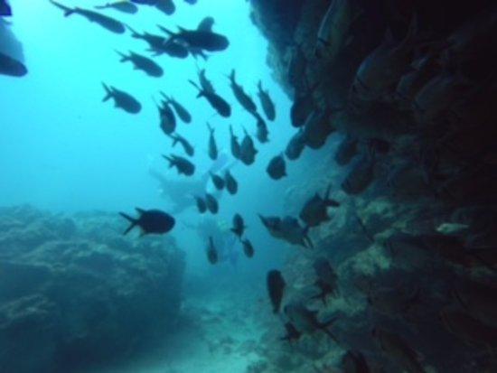 Manta Diving Center