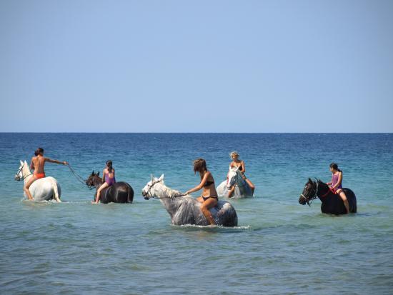 Thassos Horse Club