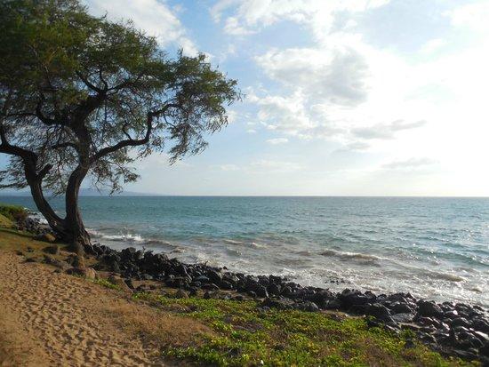 Kamaole Beach Park II