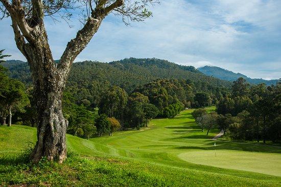 Pole golfowe Penha Longa