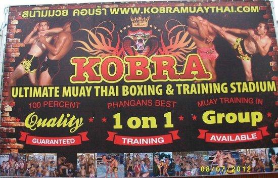 Kobra Muay Thai Boxing Stadium