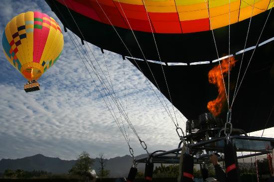 Calistoga Balloons