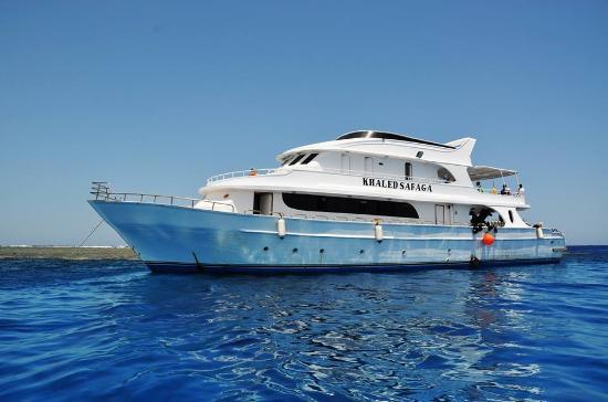 Orca Dive Club - Tulip Resort