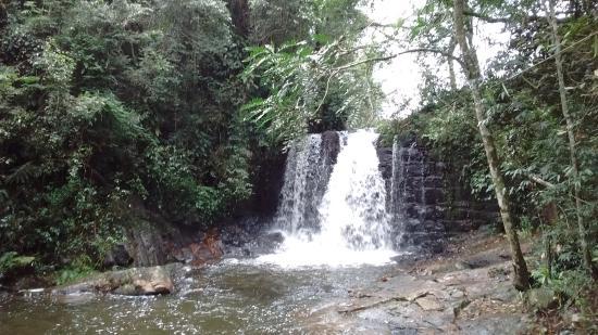 Fazenda Guaxinduva